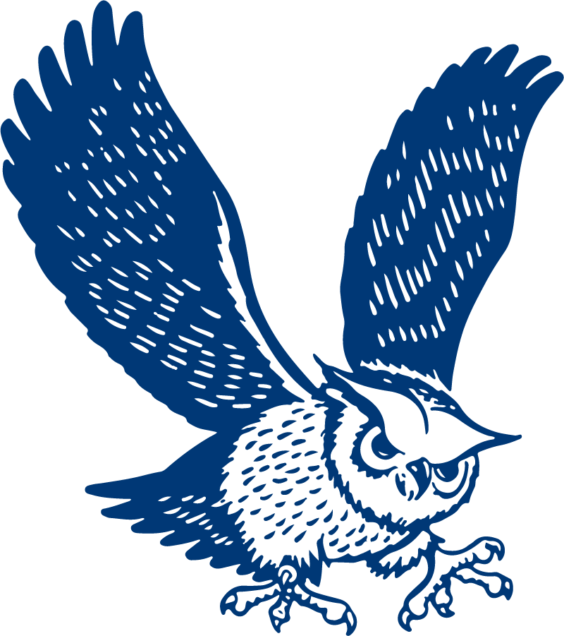 Rice Owls 1968-1979 Primary Logo diy iron on heat transfer